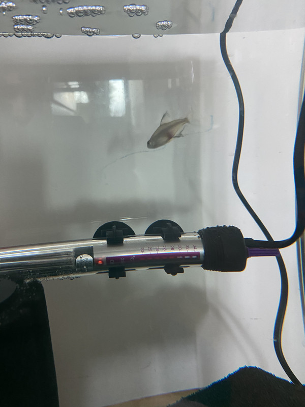 2CD255C1-CAC0-4827-BF31-71AD337B68F7