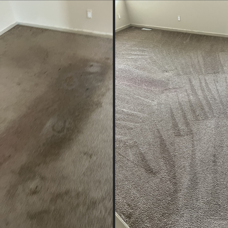 carpet cleaning