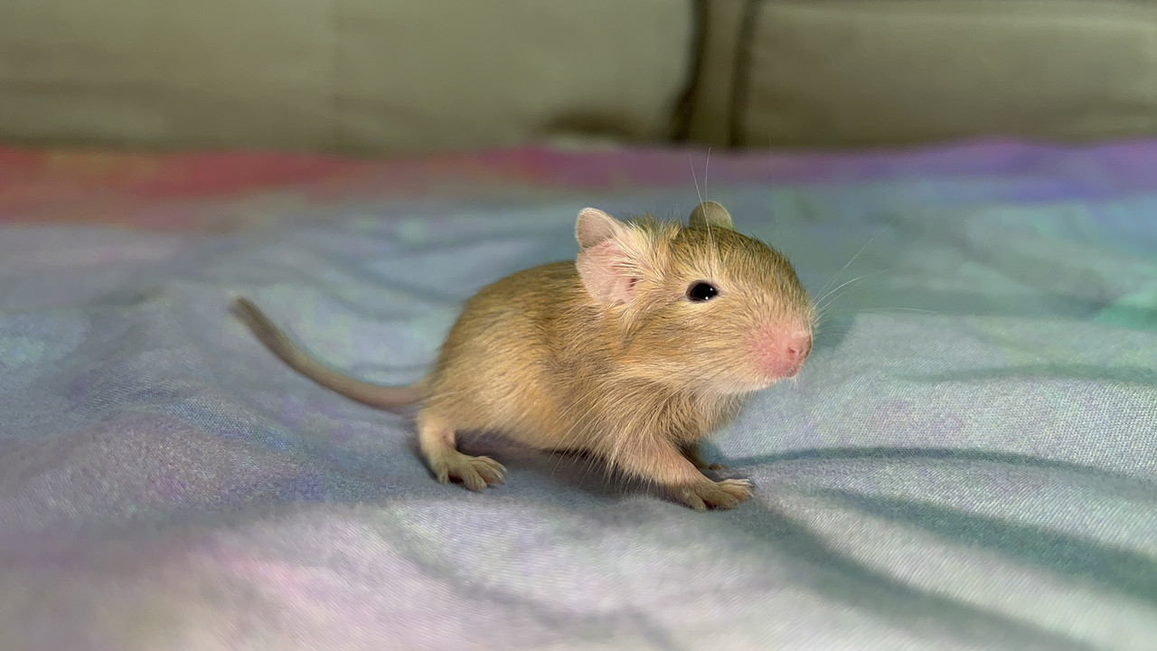 0A866759-B58A-444B-B104-065C6E0308F4