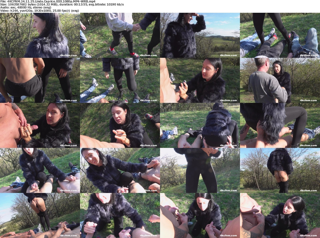 25112024122521screenshot
