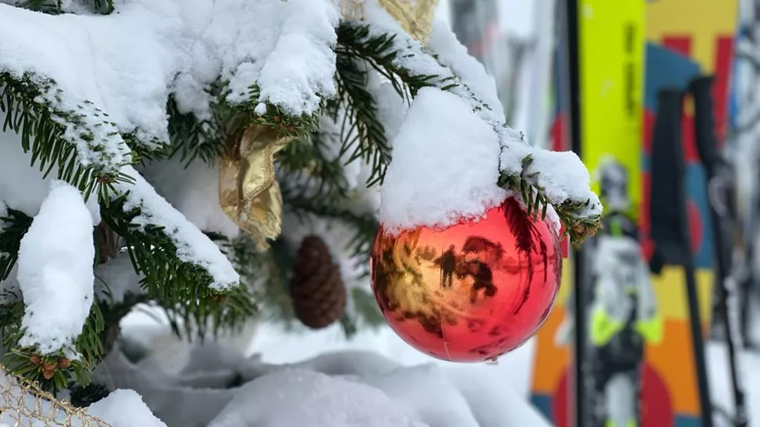 kerstbal-besneeuwde-kerstboom.webp