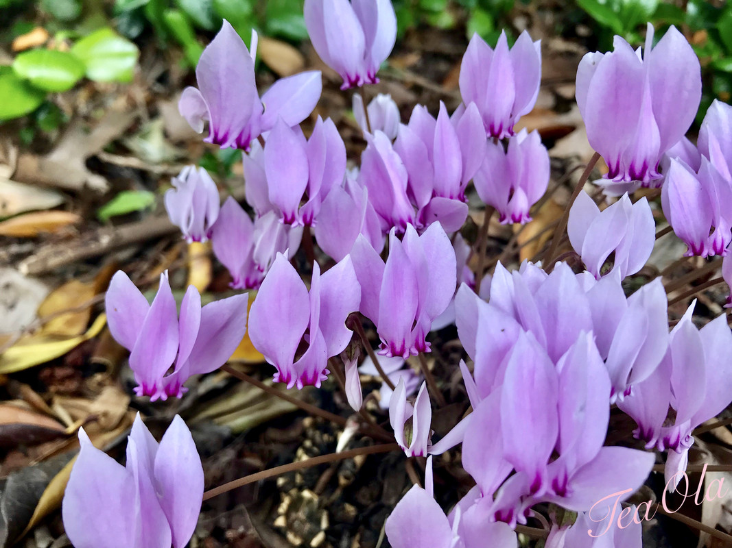 E098229F-BE20-49D4-9687-4D82451CE80F