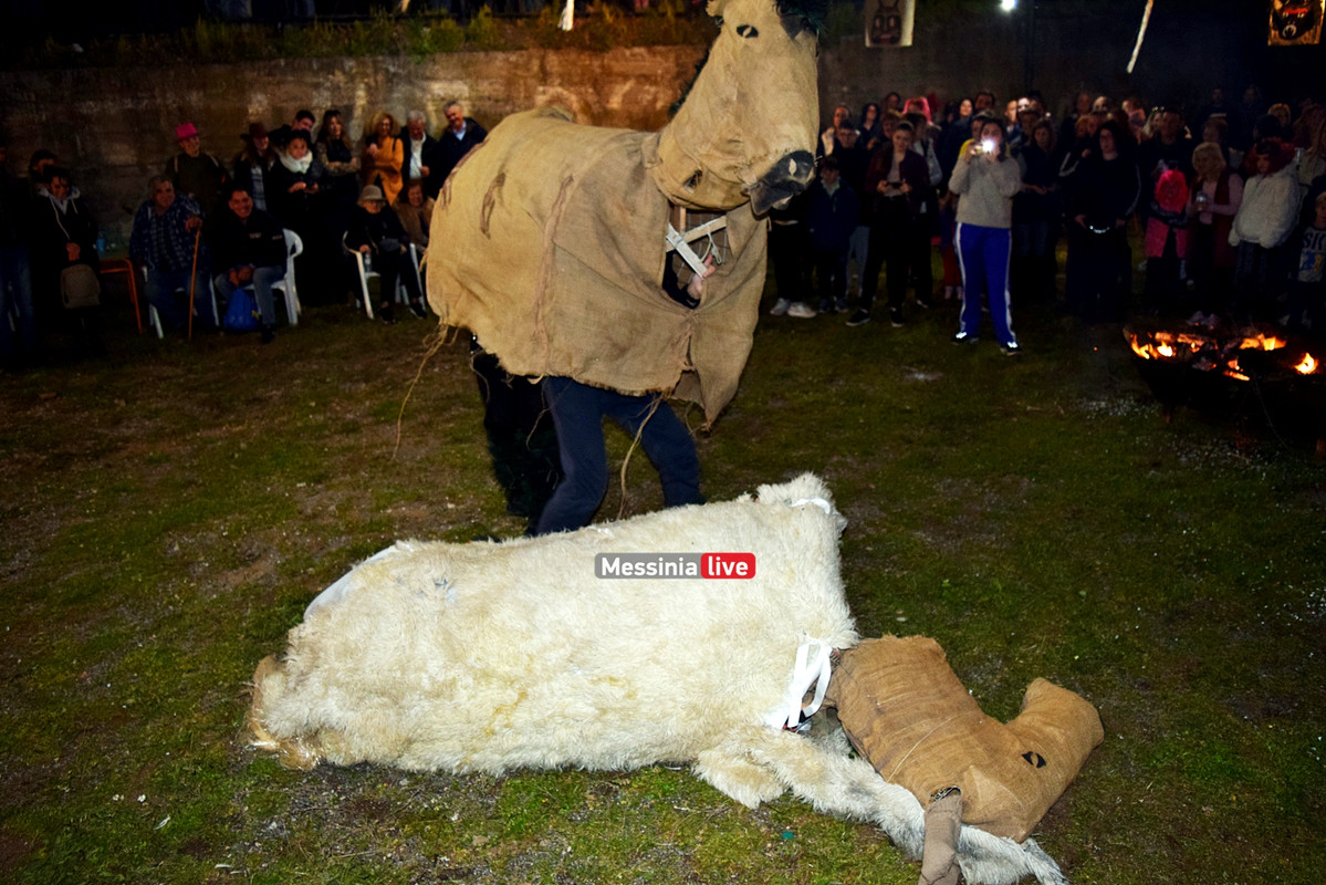 ελαιοχωριDSC_0674
