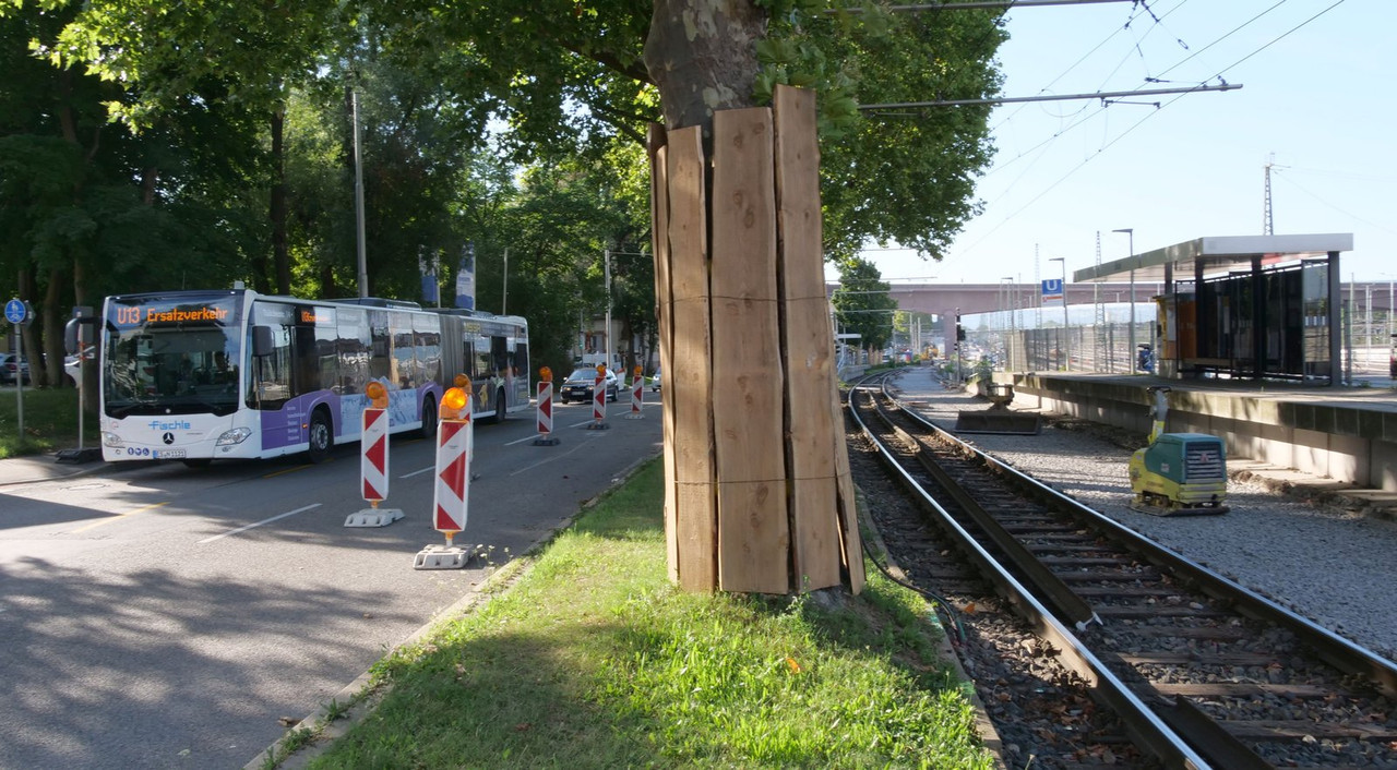 [Bild: 090825-083800-1b.jpg]