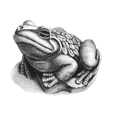 a stone frog