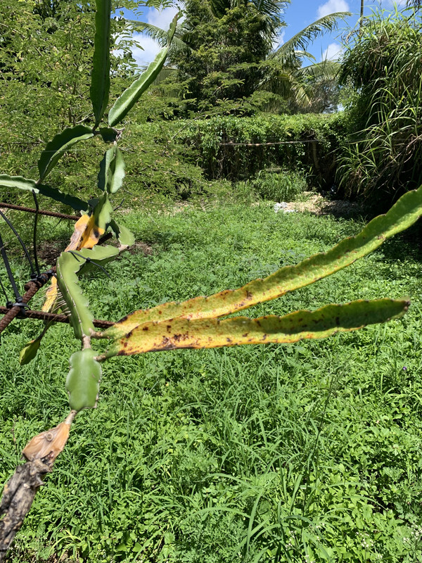 B6B12330-6EEA-4DE0-A433-0ABAC9953EE6