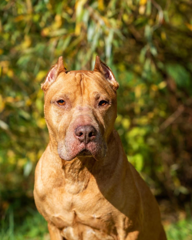 83727DEF-7B1D-4448-B62E-8C35694CC5B6