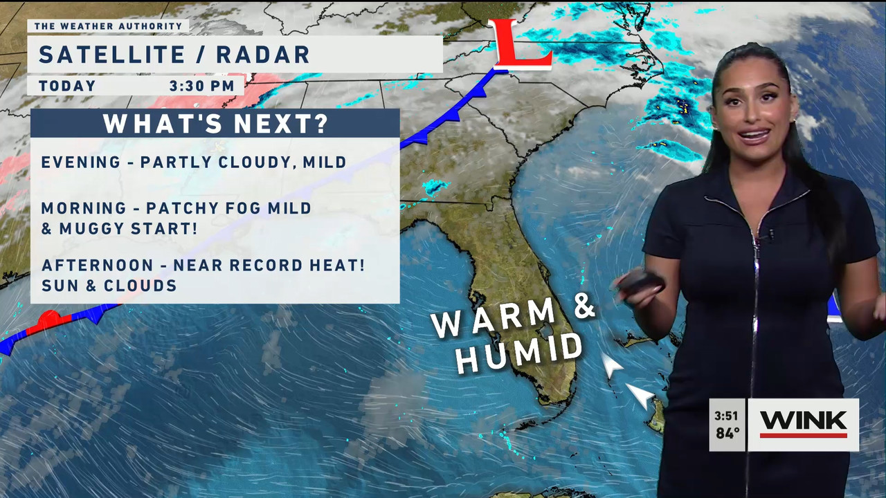 01.31 - 20.00.00 - WINK News at 3pm  ᴺᵉʷ..ts_snapshot_00.57.21.227