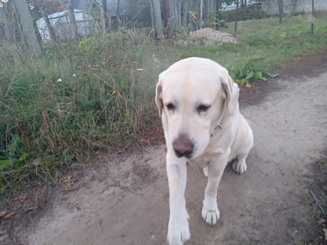 D20622FB-A47D-4F3B-AD64-74DC5067D4DD