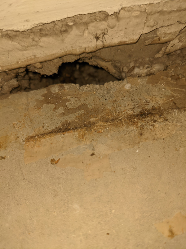 PXL_20221015_211910634