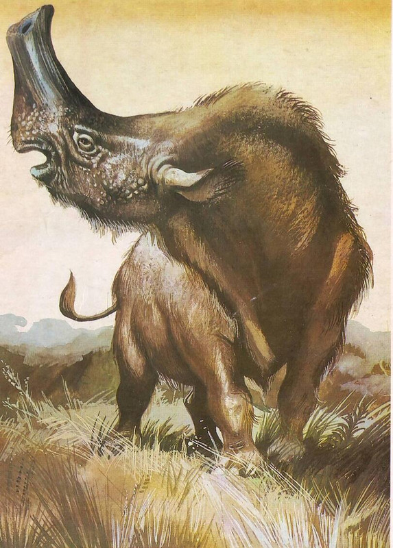 Палеоарт-длиннопост-Палеонтология-7887102