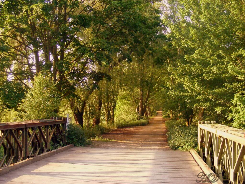 Amwell-nature-park-bridge-HD.jpg