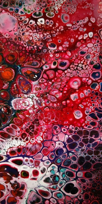 red 26