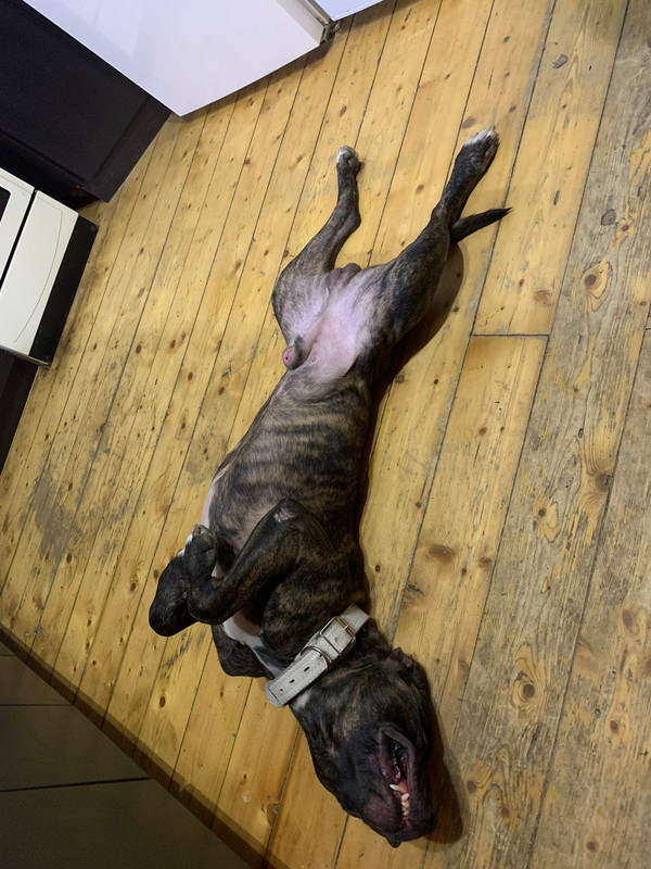 CA559E27-16B8-403F-8249-1D29BA9F578B