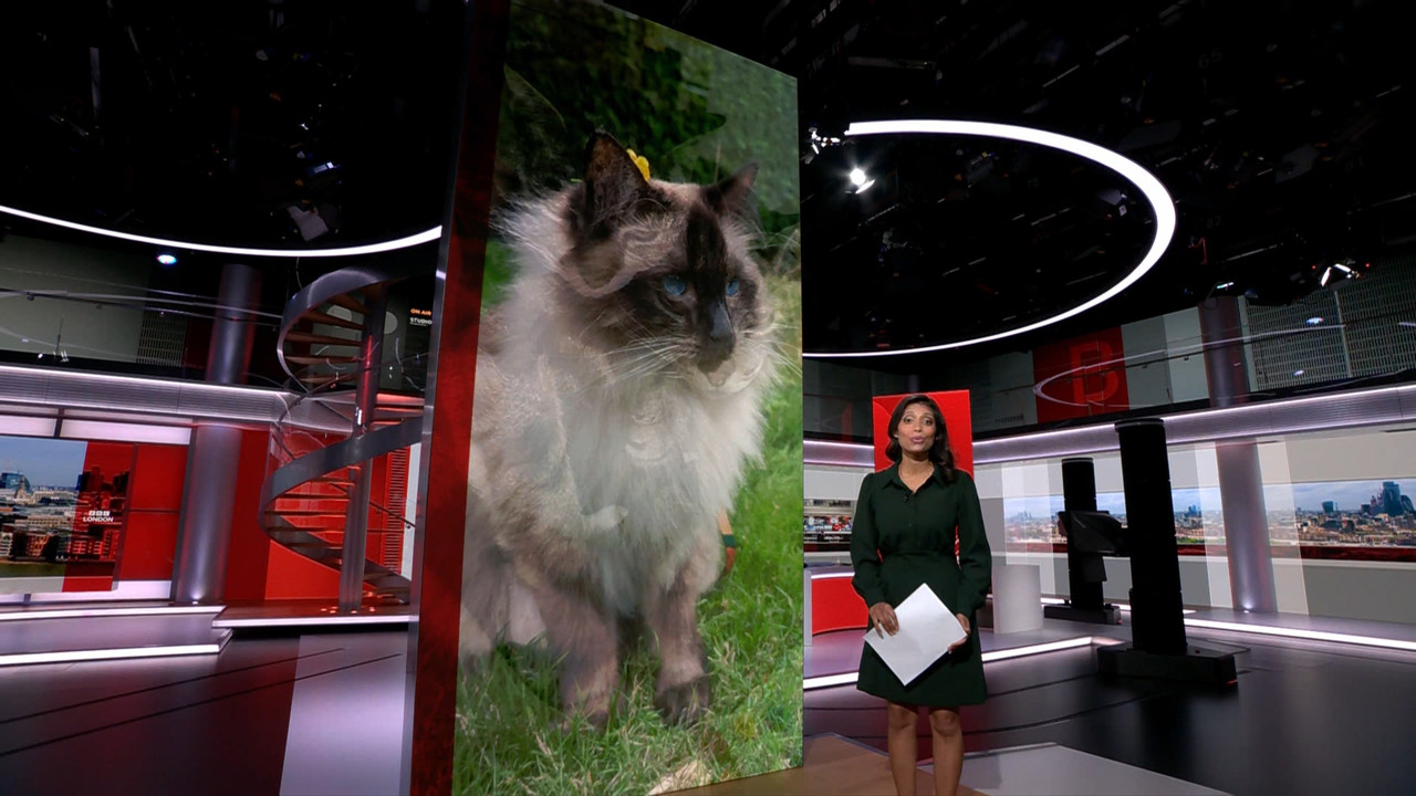 BBC London News_20230808_18301900.ts_snapshot_24.35.293