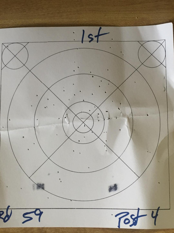 .22lr shot target