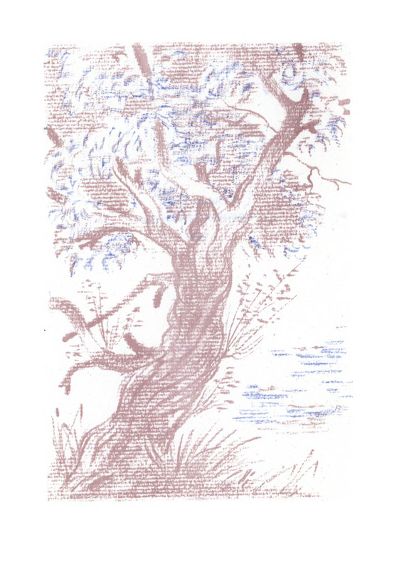 p0005