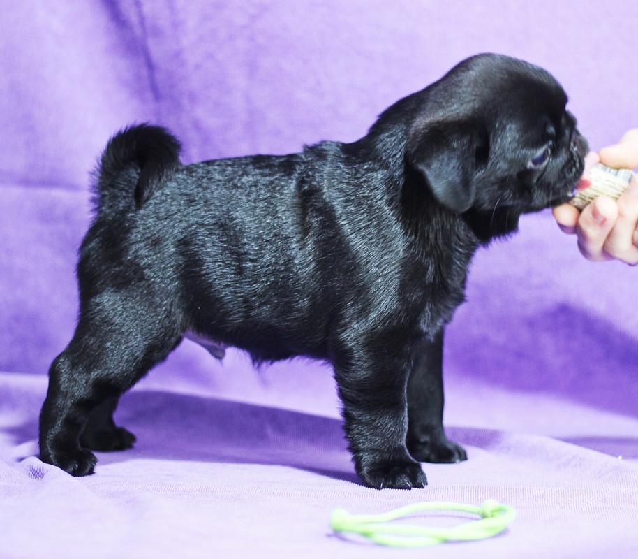 LNd0u1iF4IlNkGwdj5nBvwNx7EIwnKAhz19To0nUyjk44Nrd0FYtPsxOqlAyfFms1s7lxPLIy-IoIigMLw4pP9-E