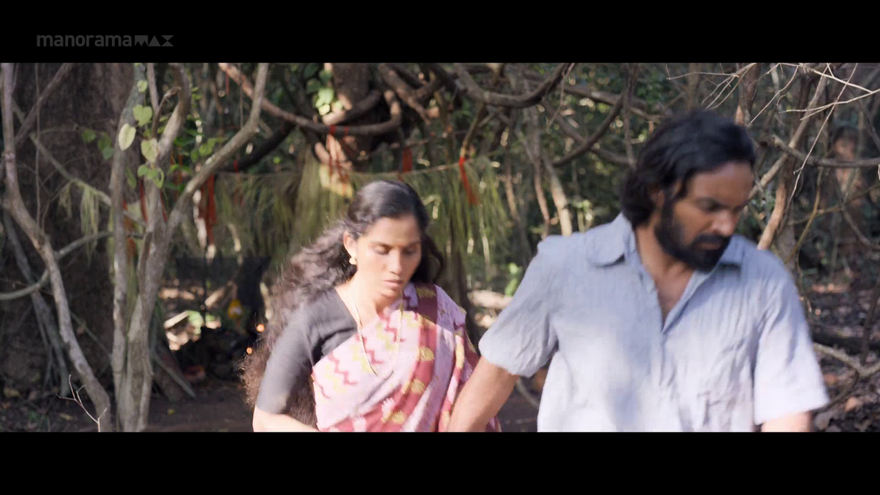 vlcsnap 2026 02 06 18h03m24s152