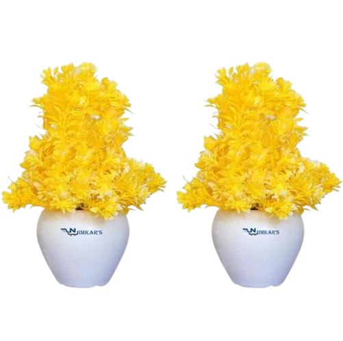 zaumy 512 removebg preview