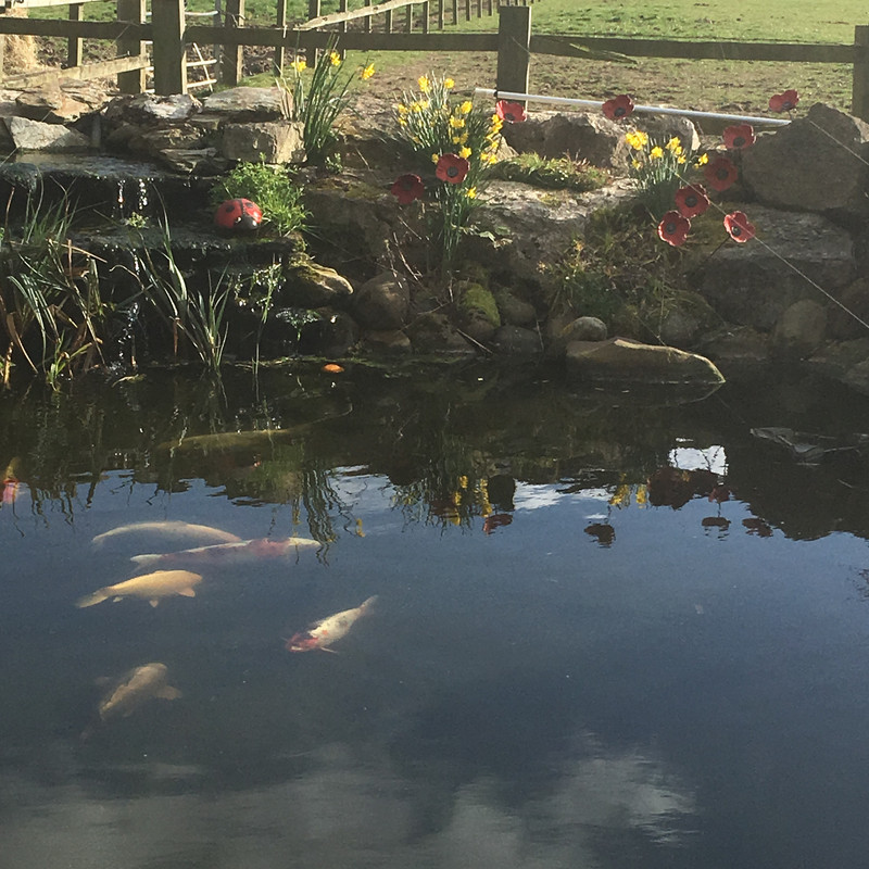 5DADD144-8588-4427-BA04-679713846B50