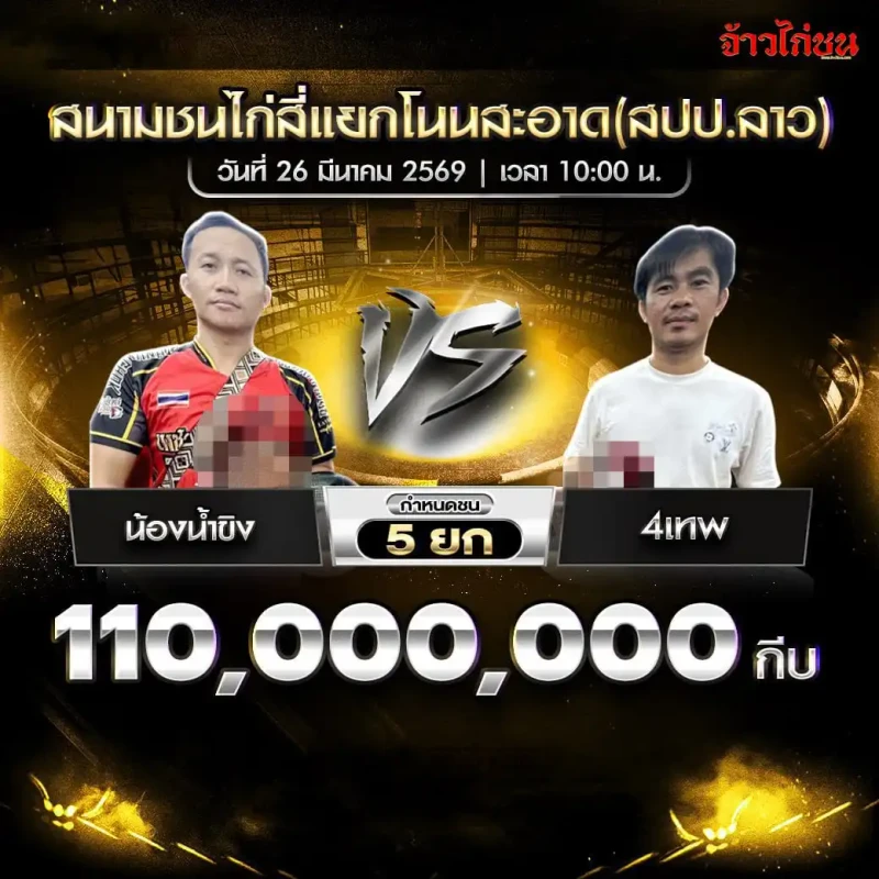 โปรแกรมไก่ชน คู่ น้องน้ำขิง vs 4เทพ สนามชนไก่สี่แยกโนนสะอาด 26 มีนาคม 2569