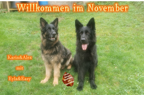 An den Beitrag angehängtes Bild: https://i.postimg.cc/kGsnQGhB/Willkommen-im-November-2023-Watermarked.png