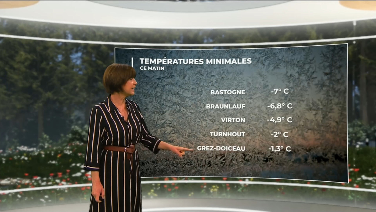 03.20 - 11.45.00 - Contacts. Verkeerstips.ts_snapshot_13.42.620