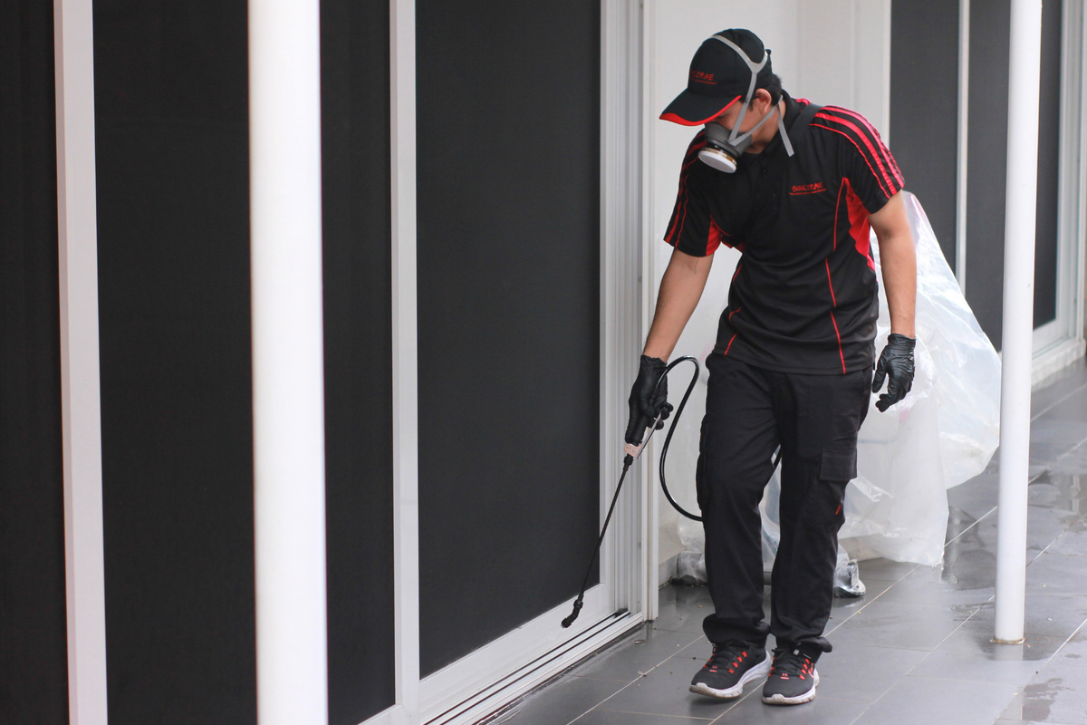 Residential pest control treatment in action