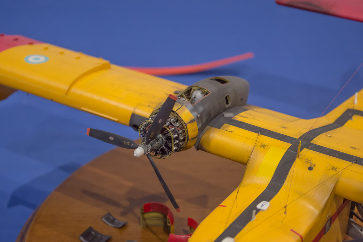 250187937_10220672528943267_424220199080459956_n