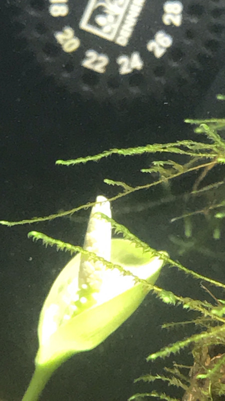 8F39AB09-17B2-43C5-B979-316D60F2710D