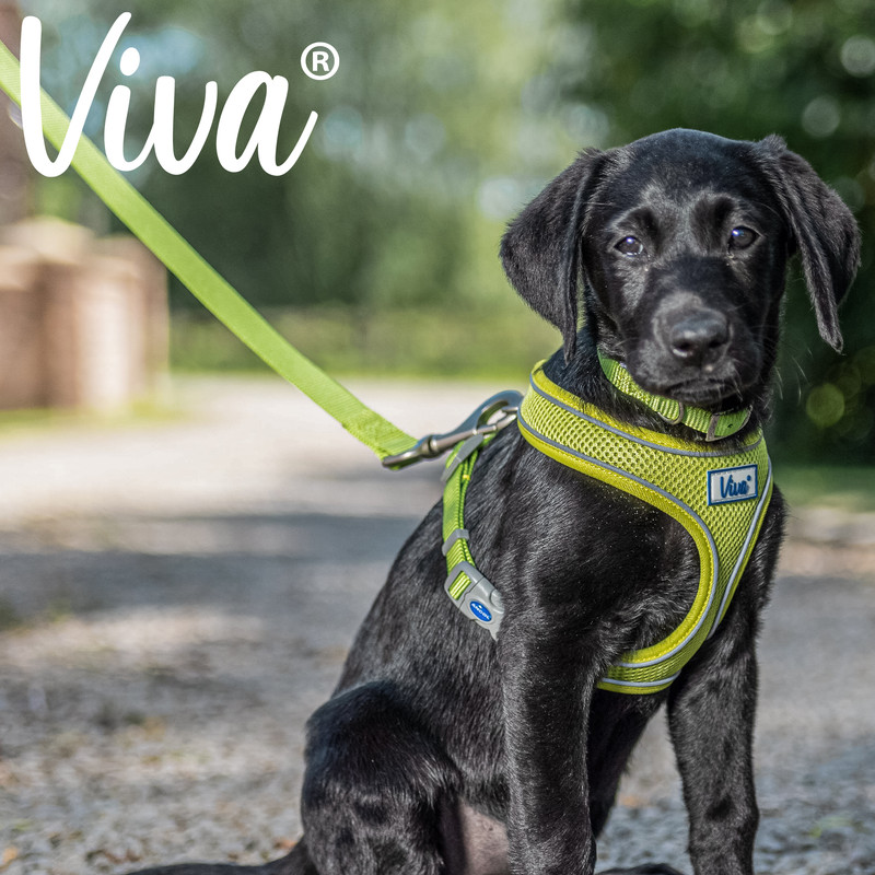thumbnail4