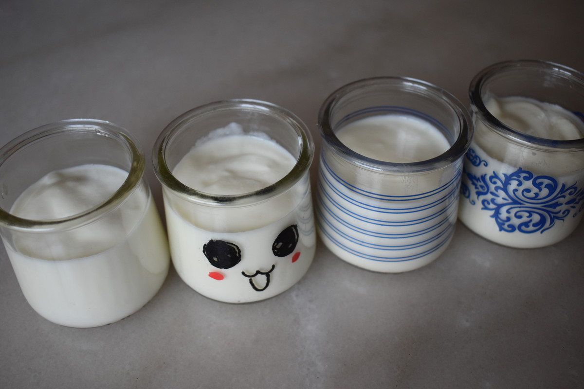 Homemade yogurt  DSC-8192