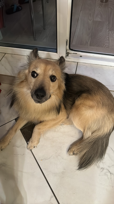 IMG-9798d712d9f10616d03ec80a6a92f9a0-V