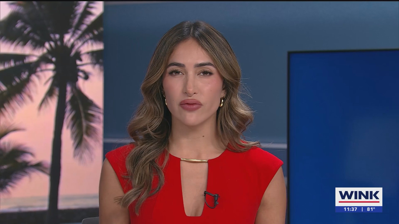 WINK NEWS at 1130am_20250330_16301700.ts_snapshot_09.10.371