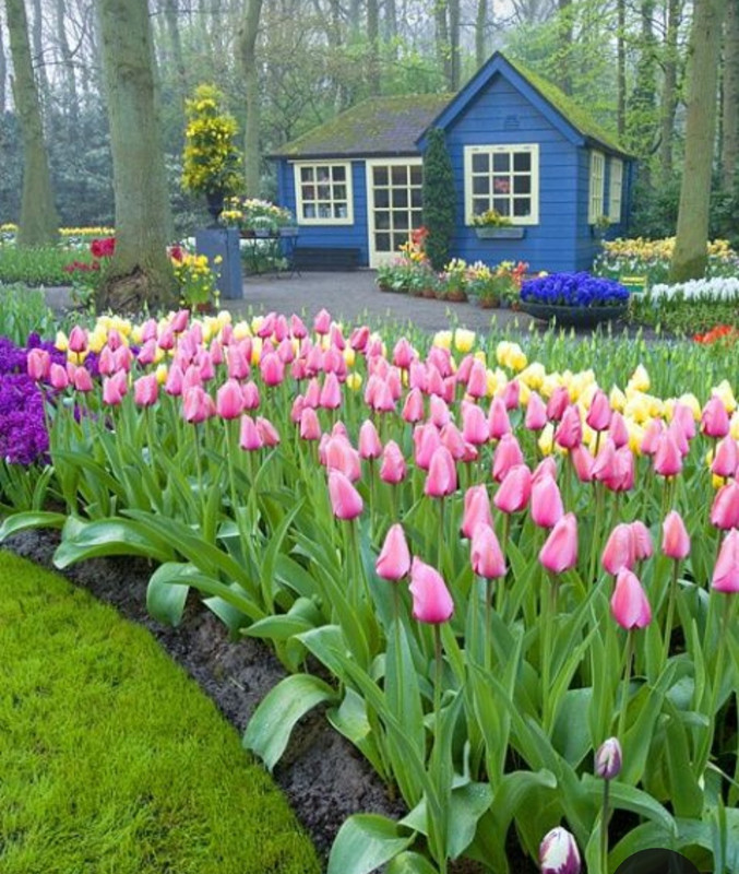 Screenshot_20230403_001533_Pinterest