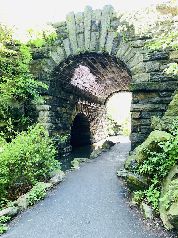 785D01C9-C977-4484-848E-ABF752E17DD1