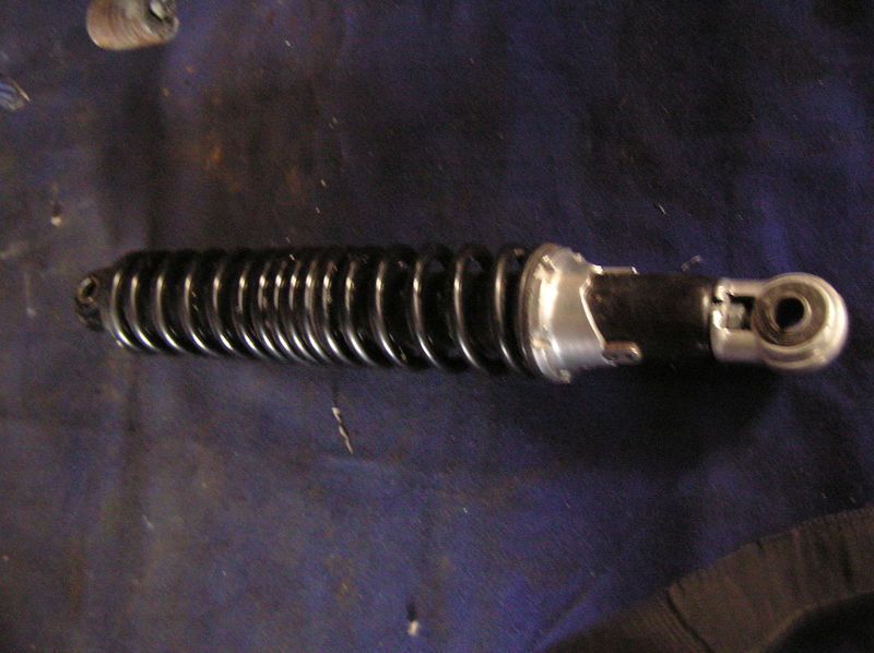 Picturevela luka 558