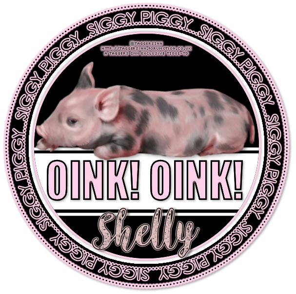 oink_shelly