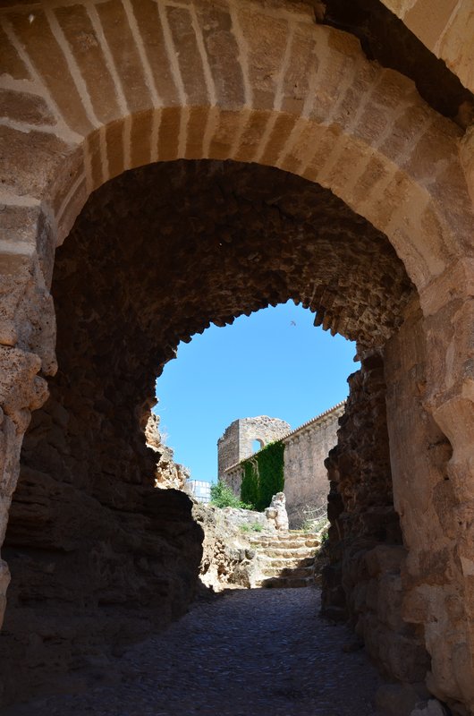 CASTILLO DE ZORITA DE LOS CANES-2014/2015-GUADALAJARA - Paseando por España-1991/2016 (56)