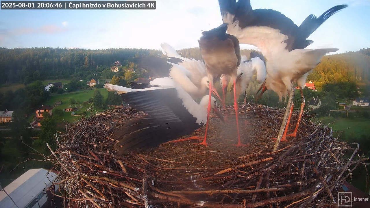 Tiešraide no KARA uzņēmuma stārķu skursteņa Bohuslavicē netālu no Trutnovas 18-23-50 screenshot (1)