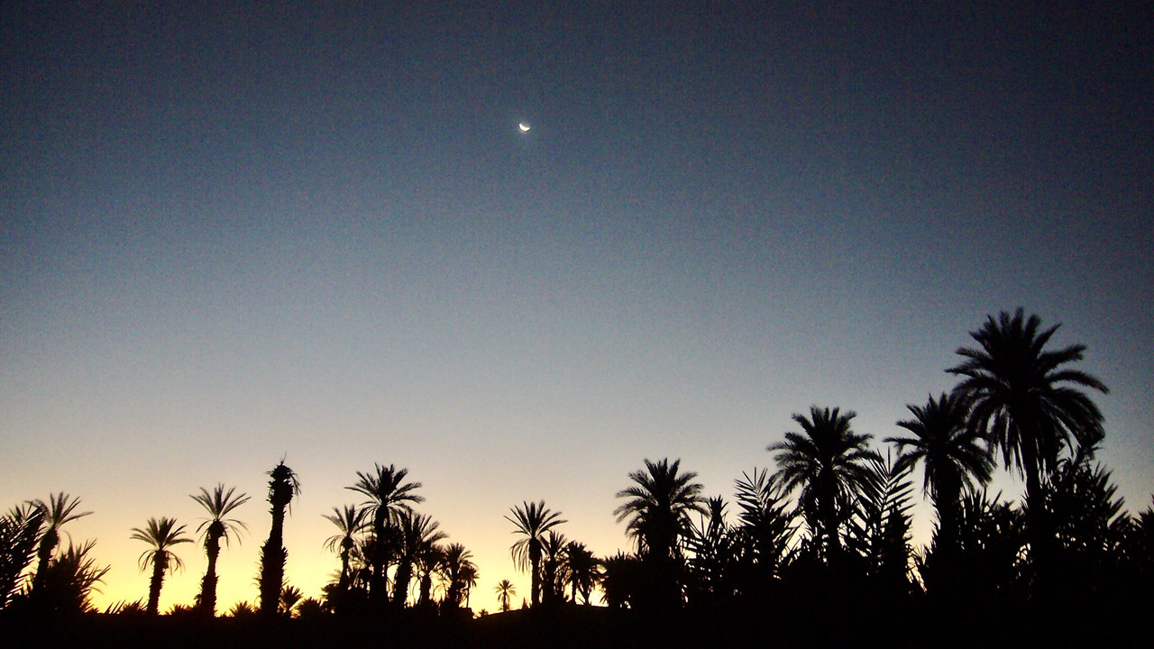 Mhamid el Ghizlane, en la frontera del Sáhara - El Valle del Drâa, la gran arteria del sur de Marruecos (26)