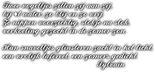 cooltext489879953087657