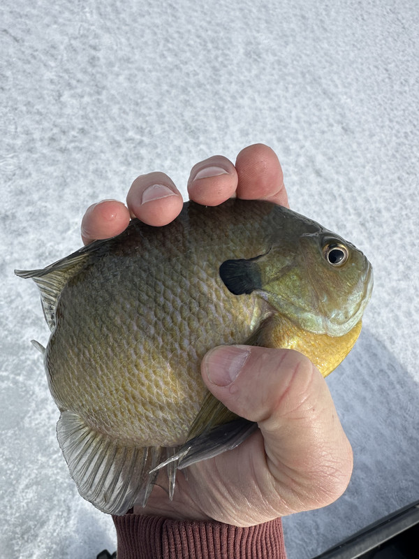 0CE92DEB-642D-4400-848B-408A820215E6