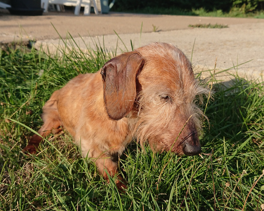 [Image: 20220830-185853.jpg]