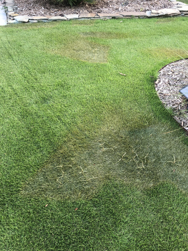 8692A3DA-C81D-448D-963D-7AC9A5771917