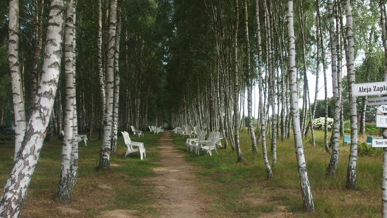 Recovered_jpg_file(6620)