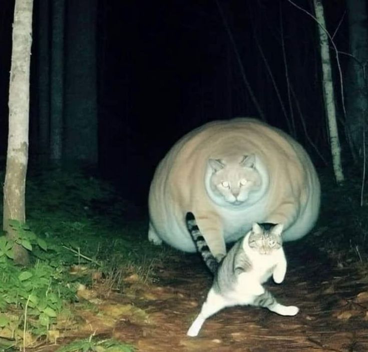 35.jpg