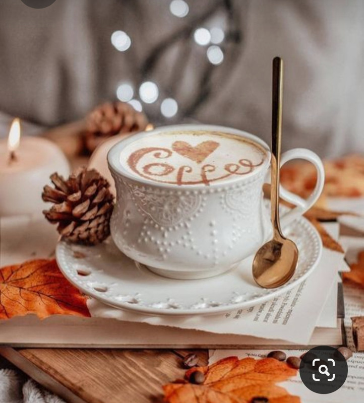 Screenshot_20231031_172228_Pinterest