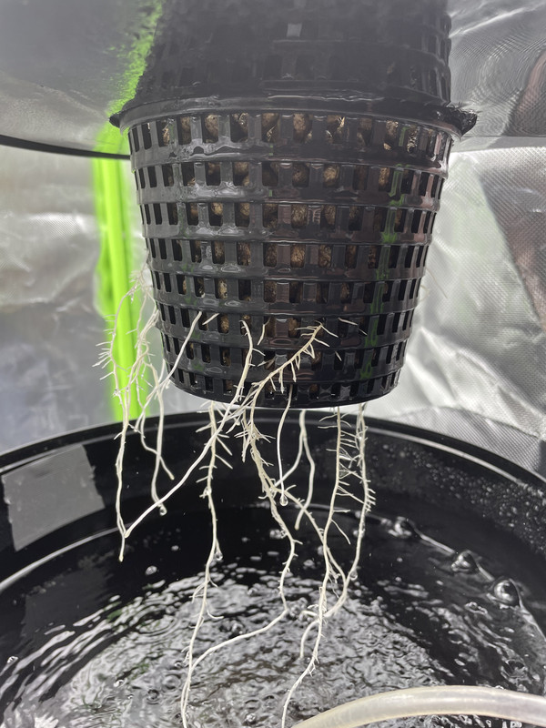 F6B67871-80B1-4DD5-9358-F7795B71F61F